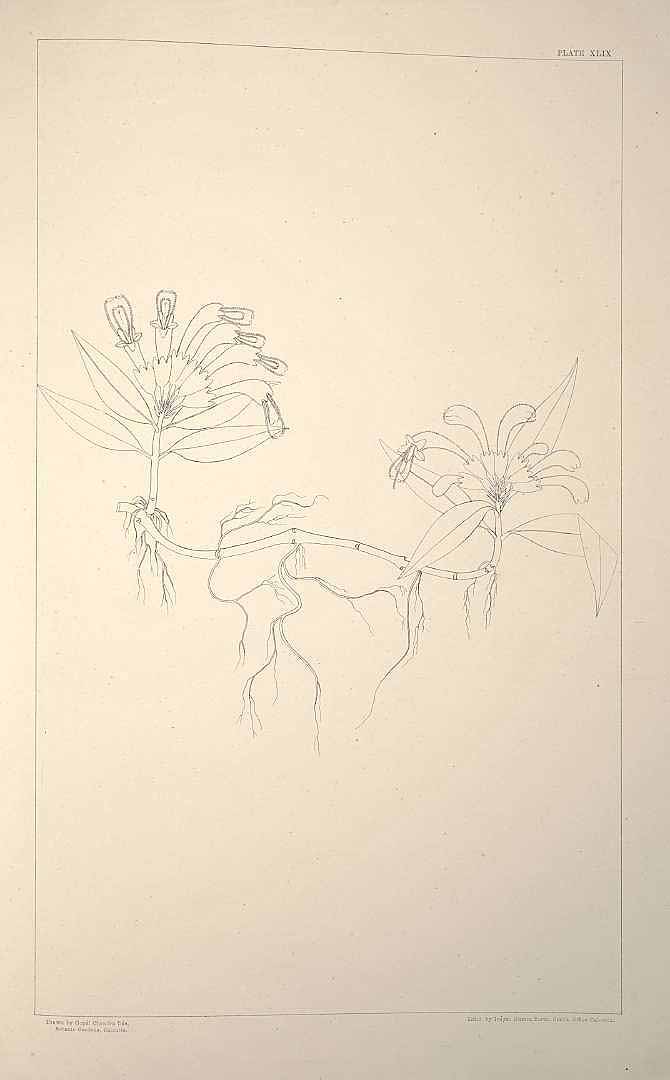 no HD illustration available (m5)