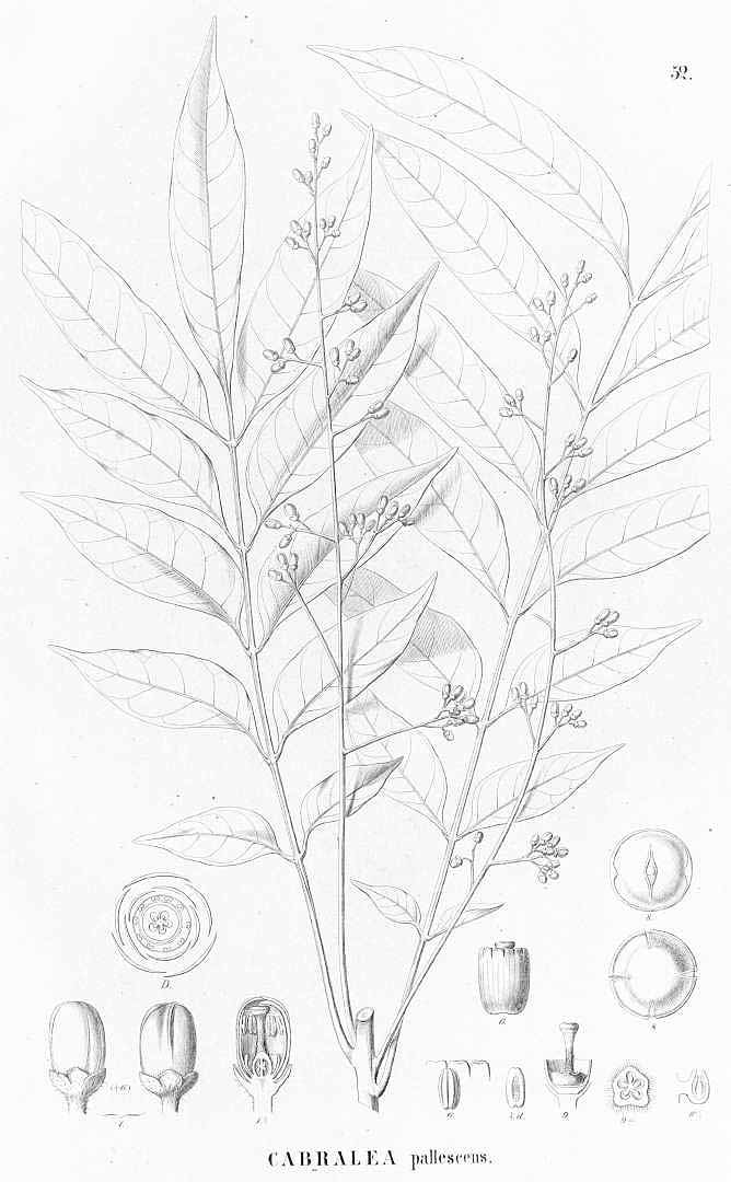 no HD illustration available (m5)