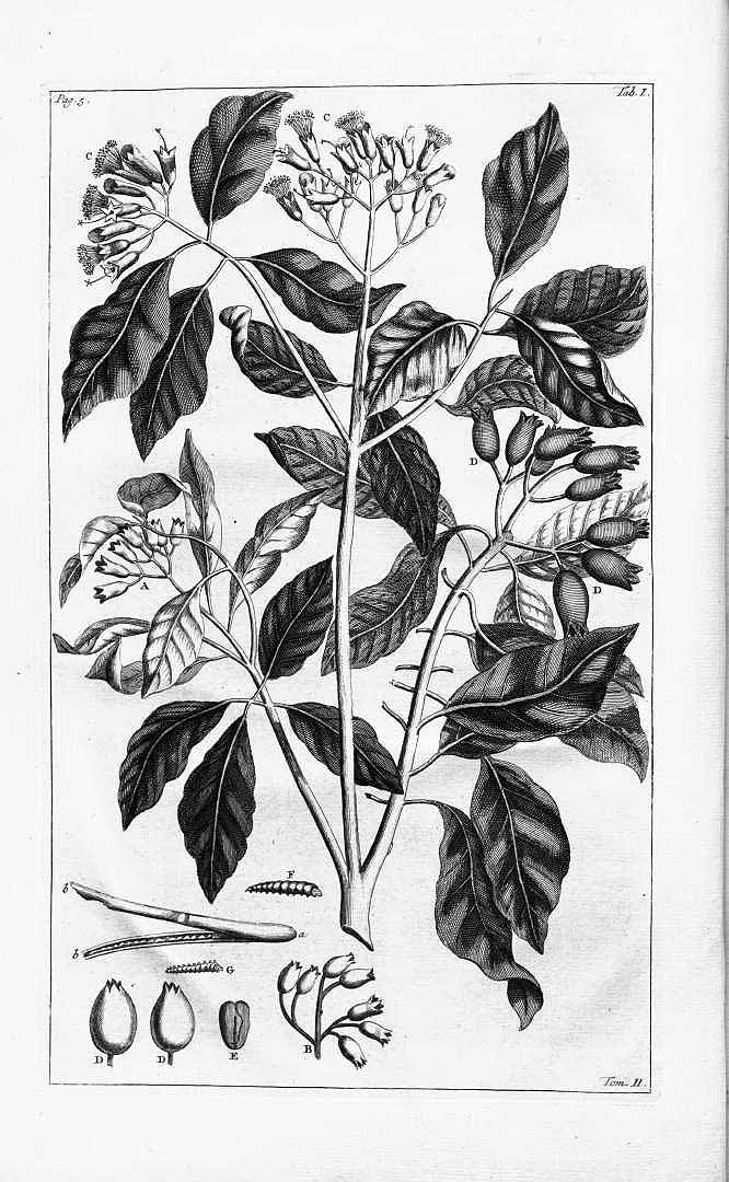 no HD illustration available (m5)