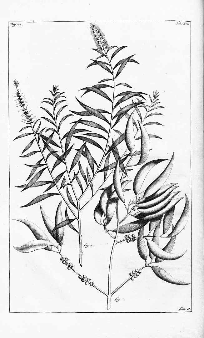 no HD illustration available (m5)