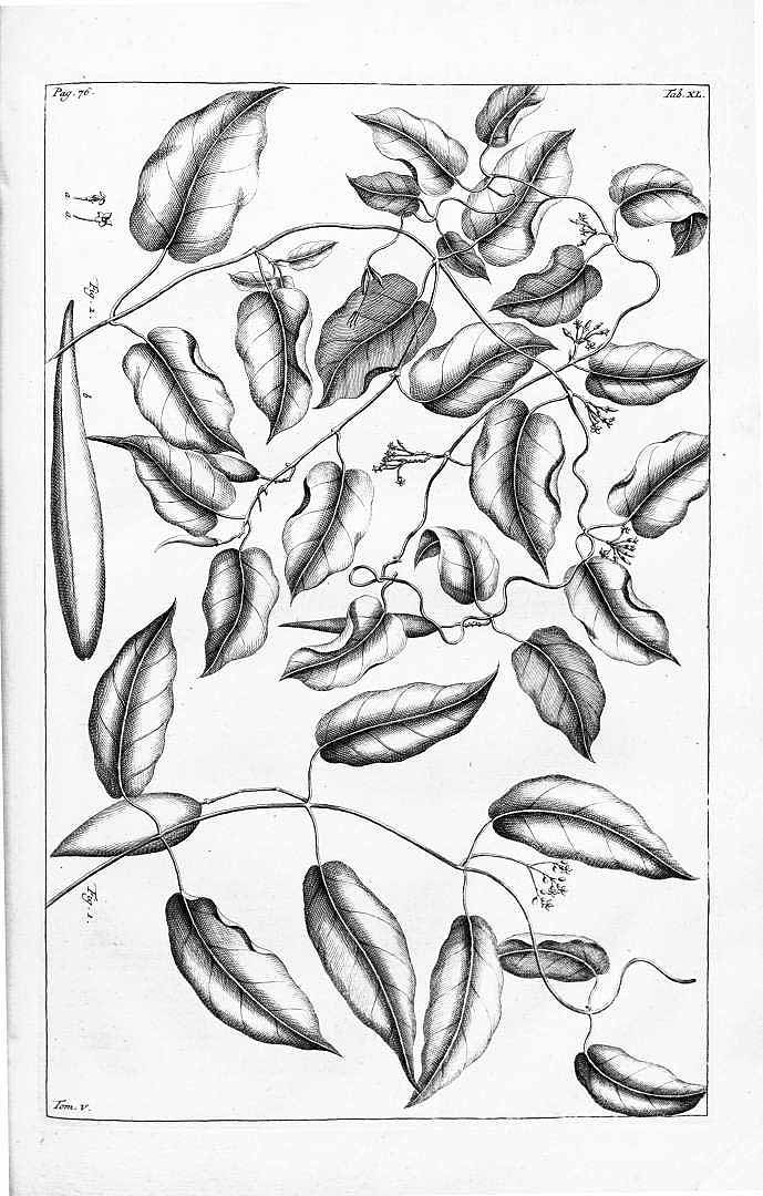 no HD illustration available (m5)