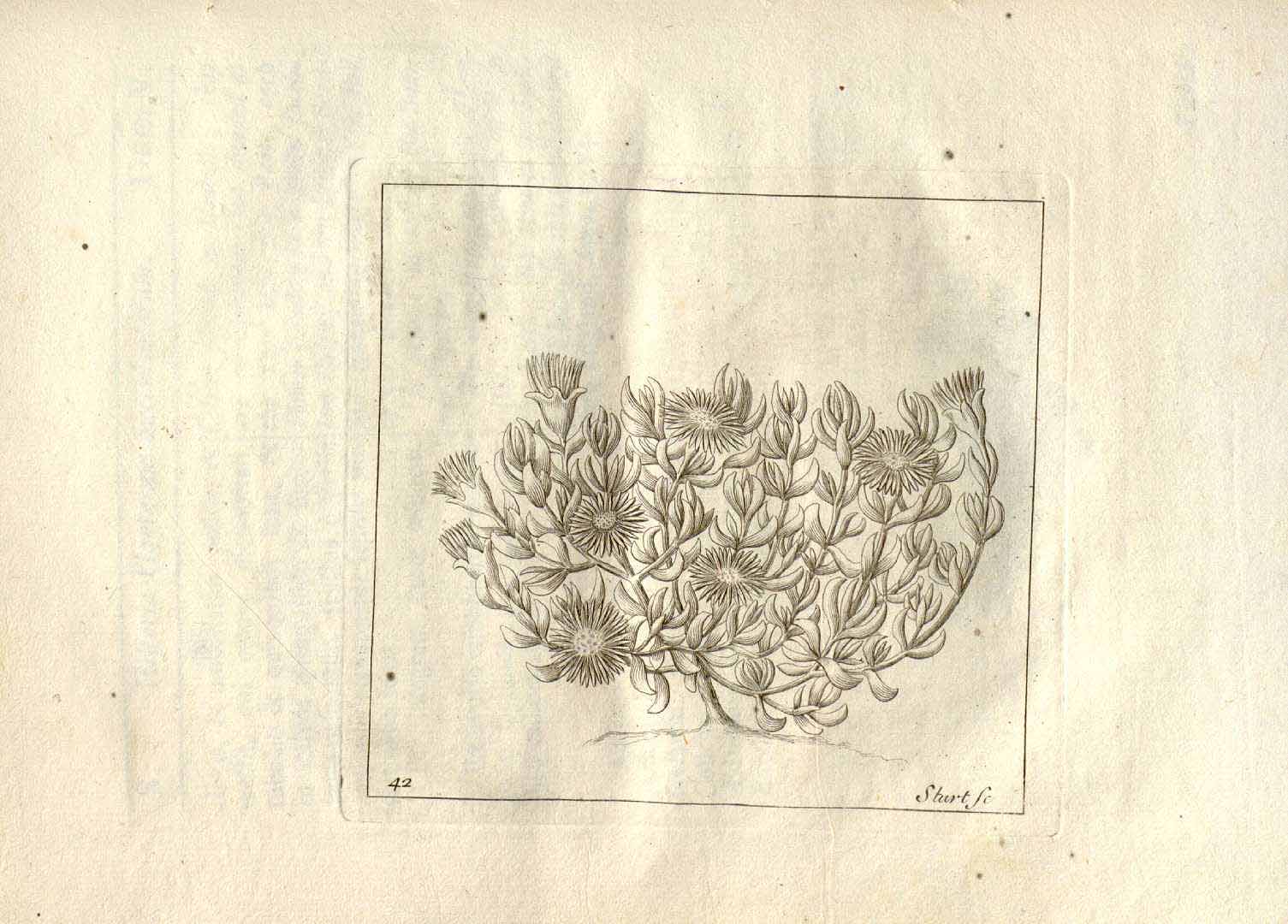 no HD illustration available (m5)