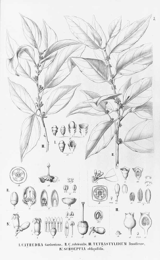 no HD illustration available (m5)