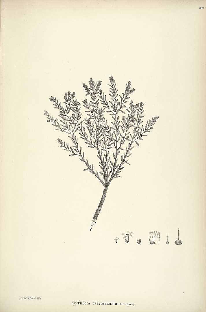 no HD illustration available (m5)
