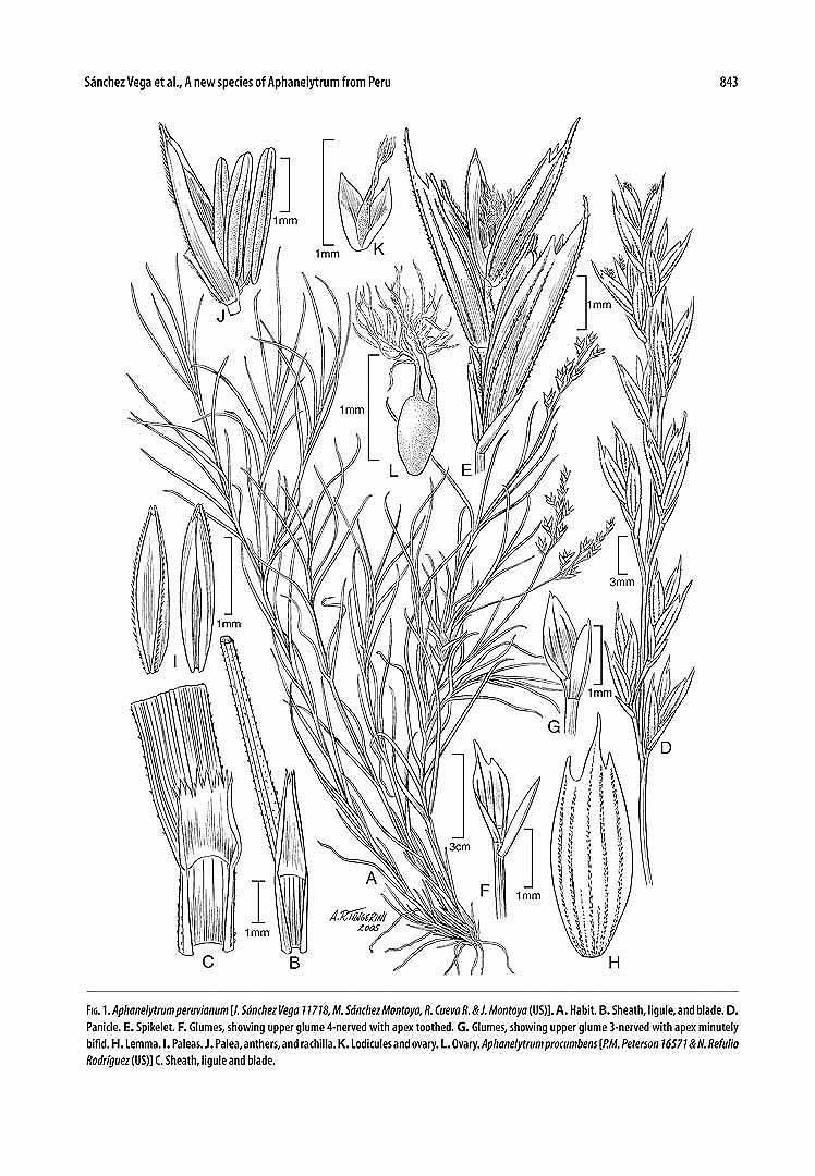 no HD illustration available (m5)