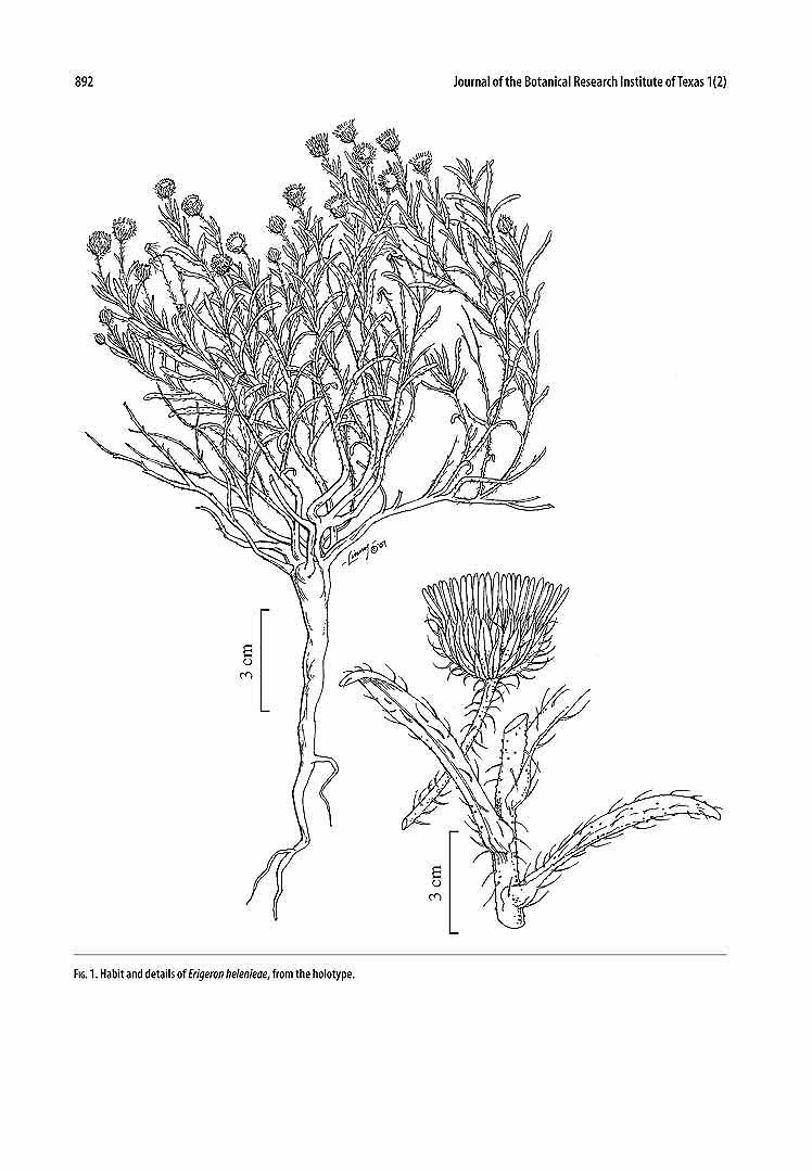 no HD illustration available (m5)