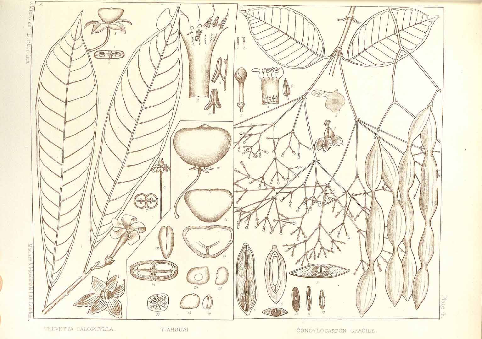 no HD illustration available (m5)