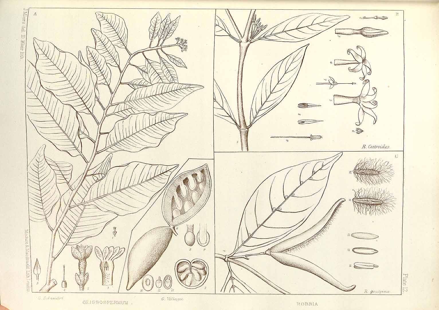 no HD illustration available (m5)