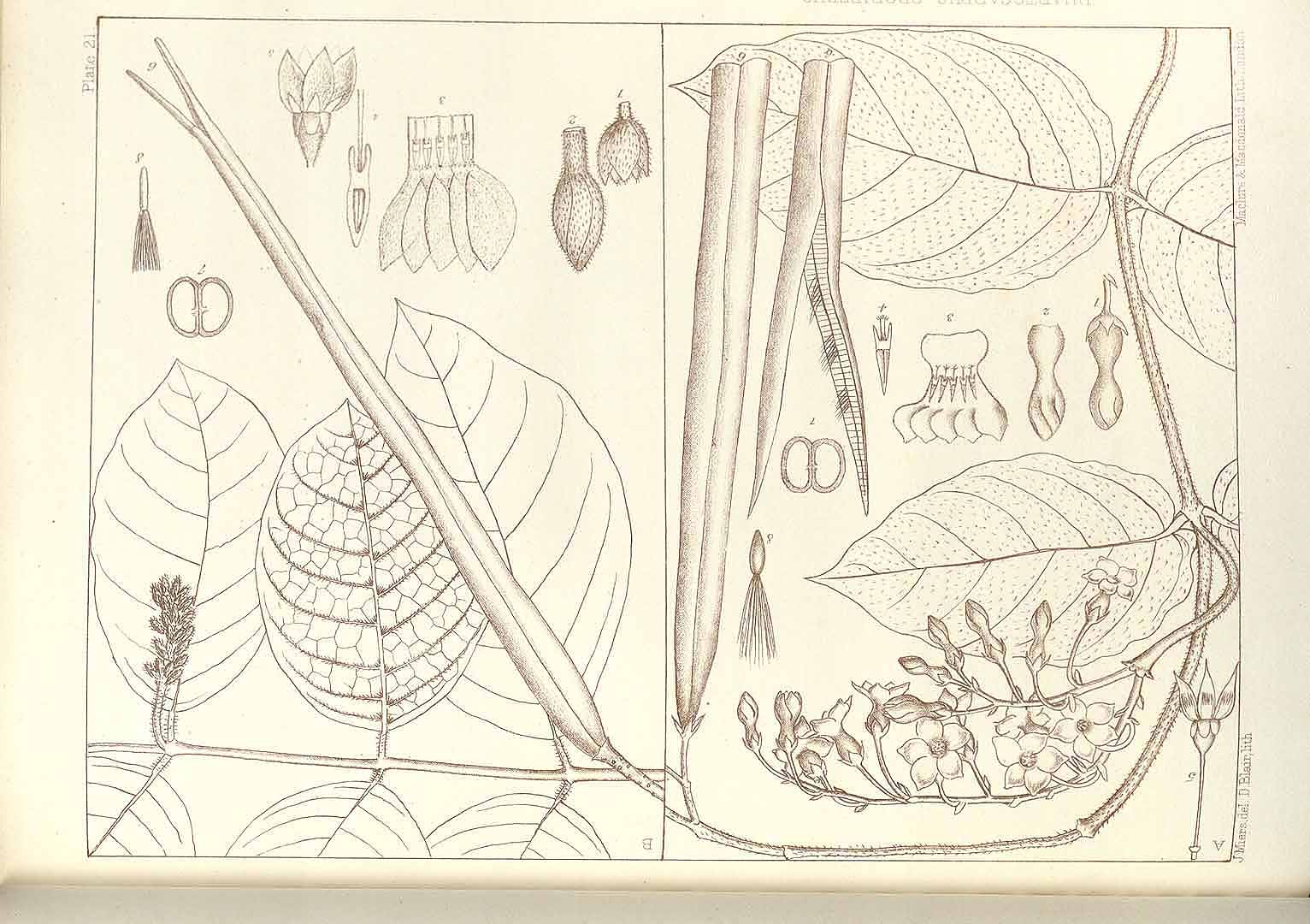 no HD illustration available (m5)