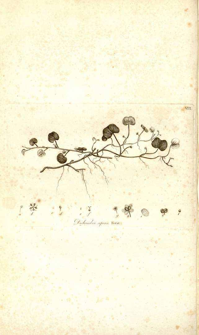 no HD illustration available (m5)