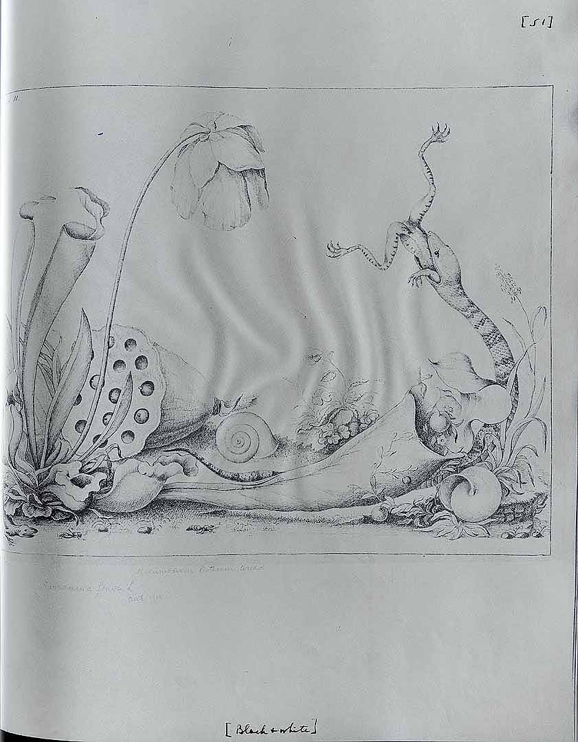 no HD illustration available (m5)