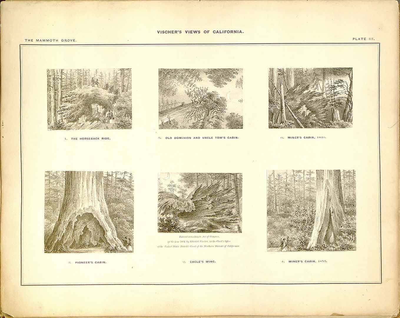 no HD illustration available (m5)