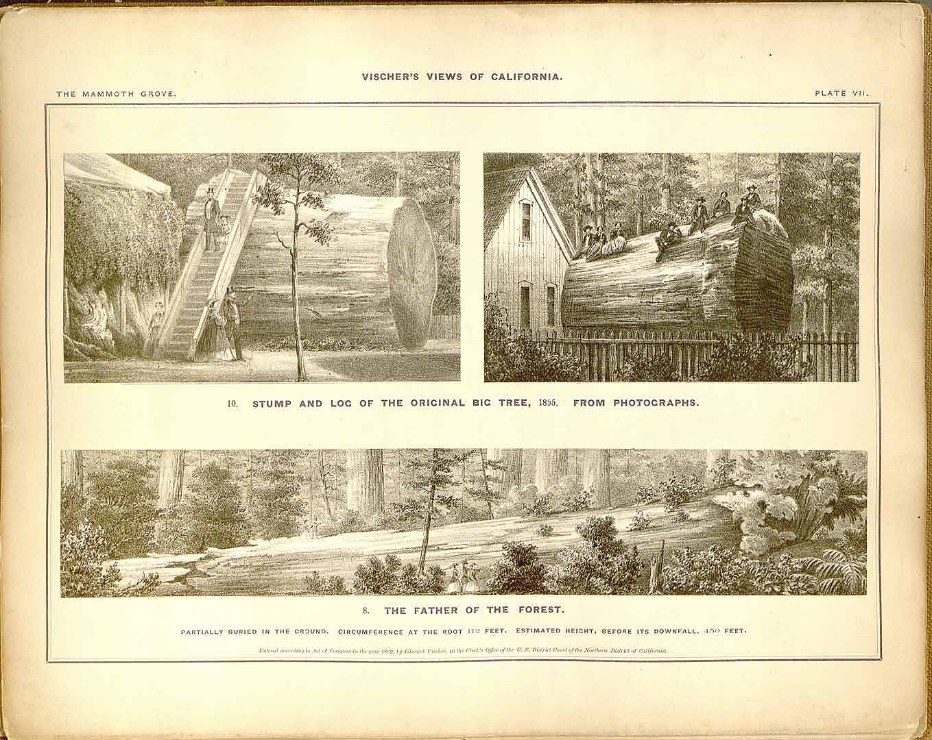no HD illustration available (m5)