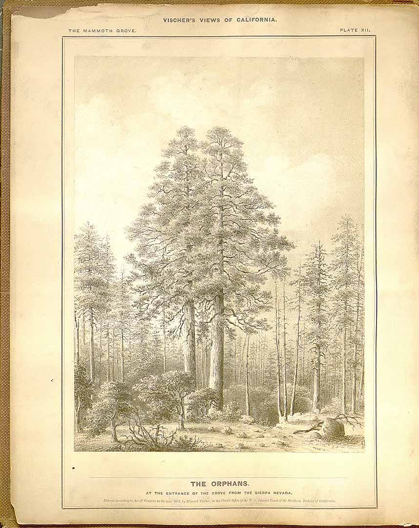 no HD illustration available (m4)