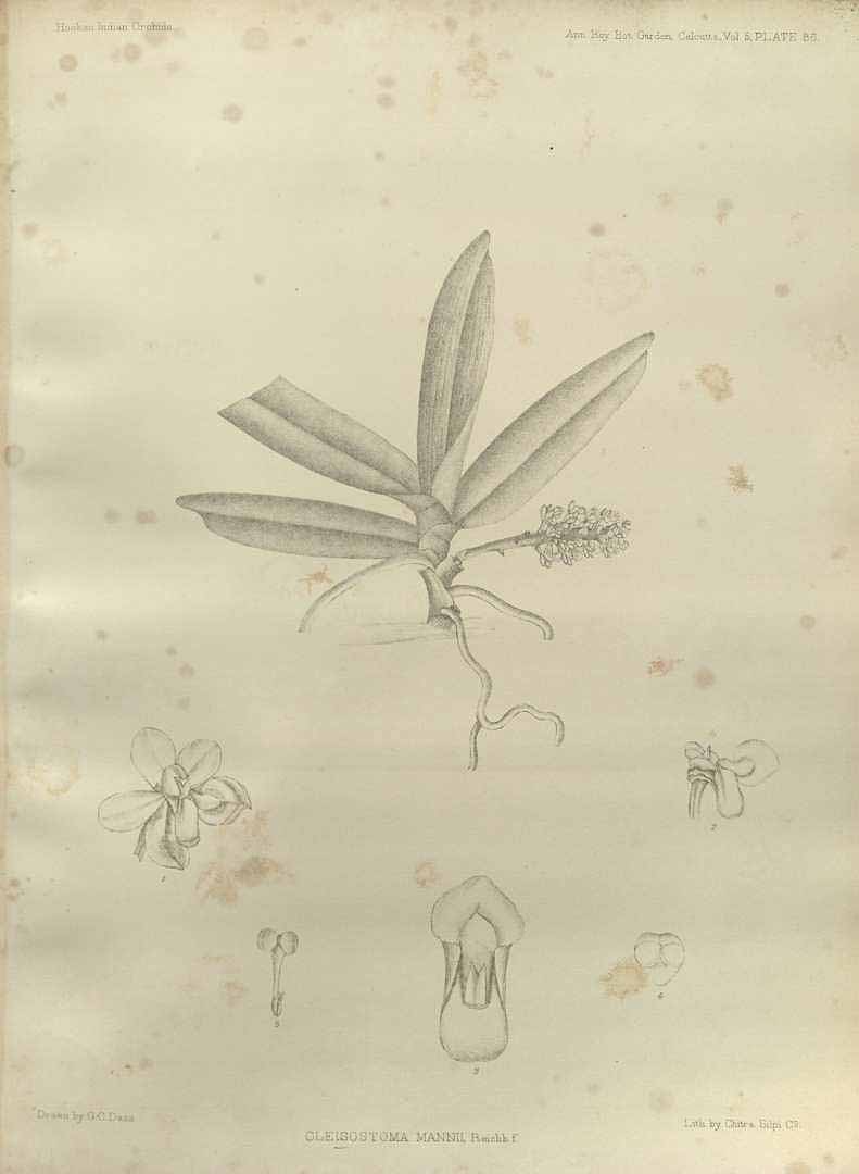 no HD illustration available (m5)