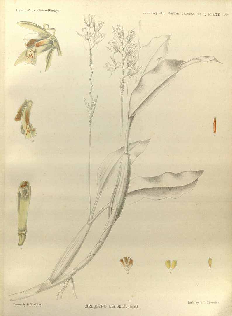 no HD illustration available (m1)