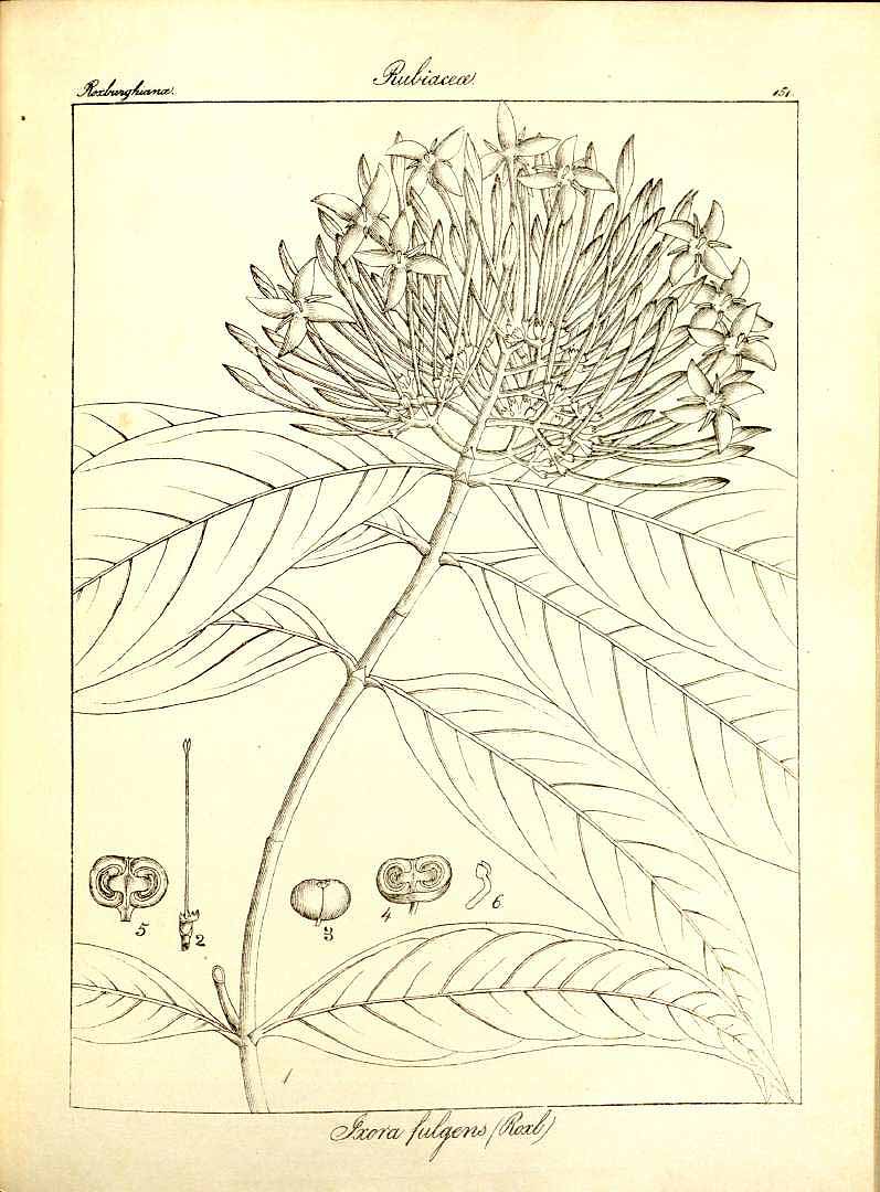 no HD illustration available (m5)