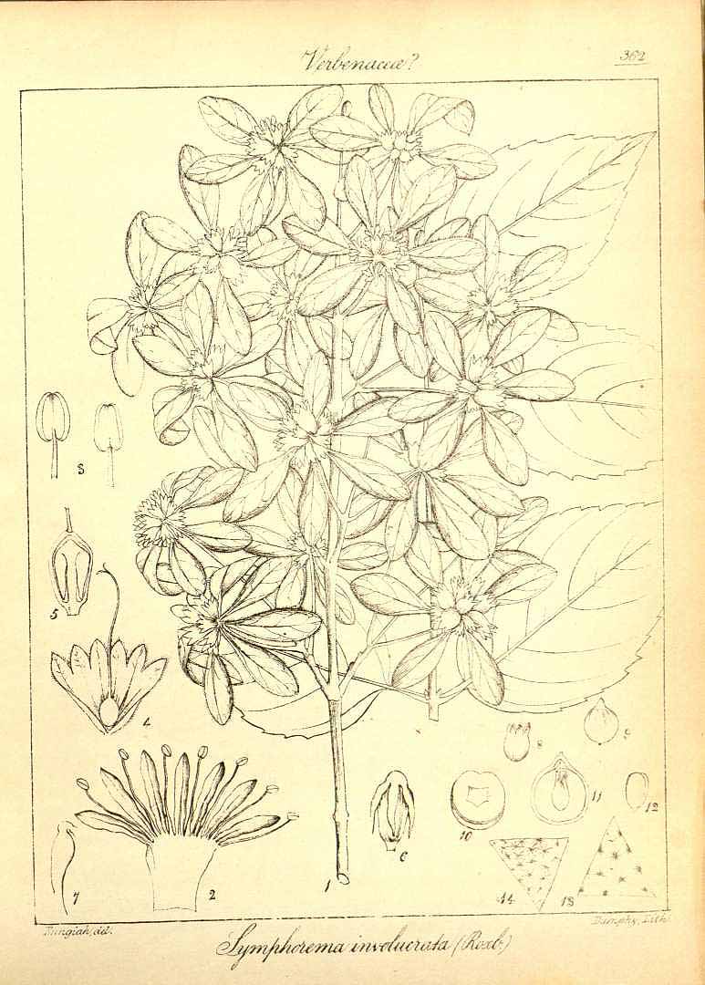 no HD illustration available (m5)