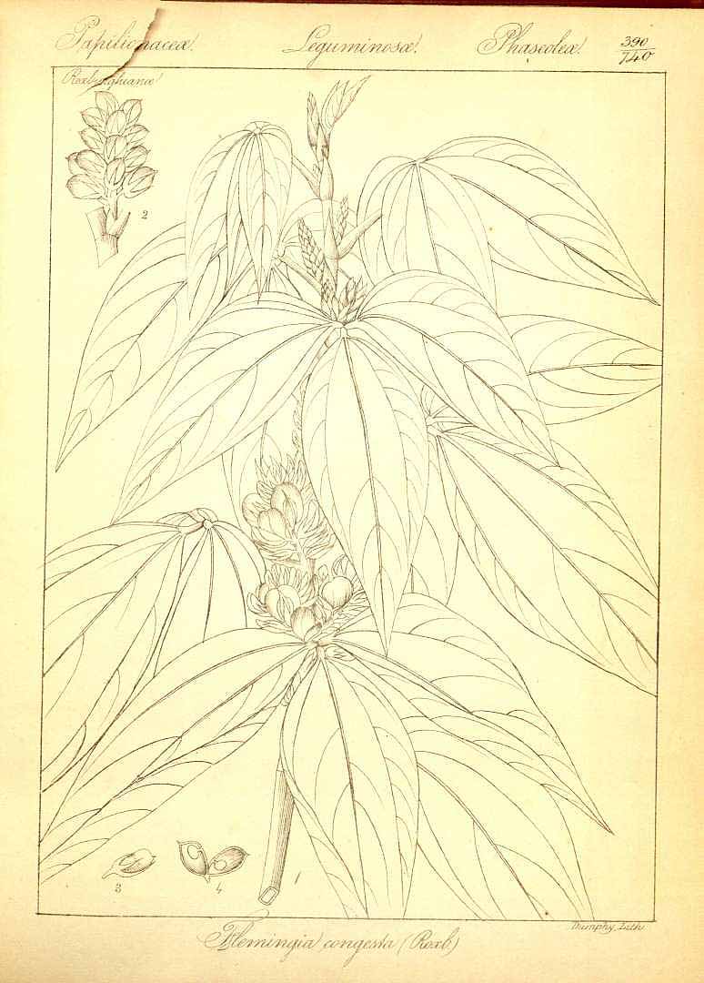 no HD illustration available (m5)