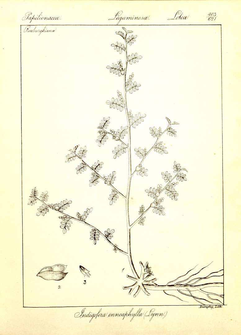 no HD illustration available (m5)