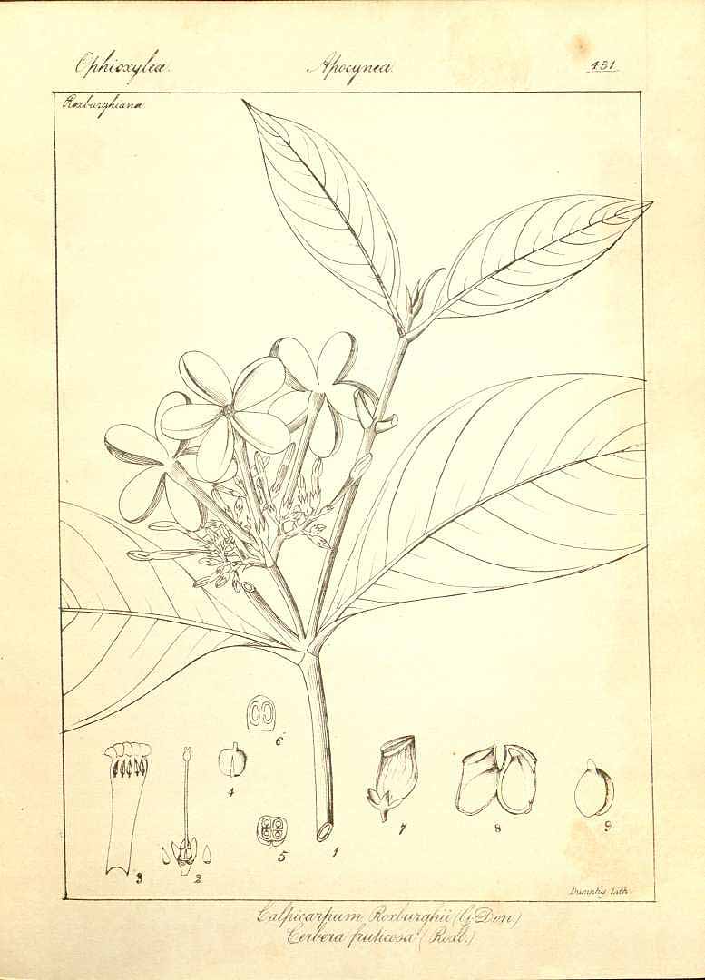no HD illustration available (m5)