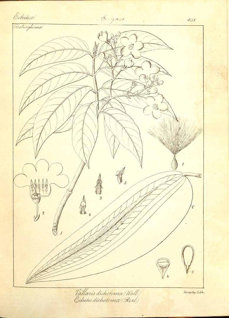 no HD illustration available (m5)