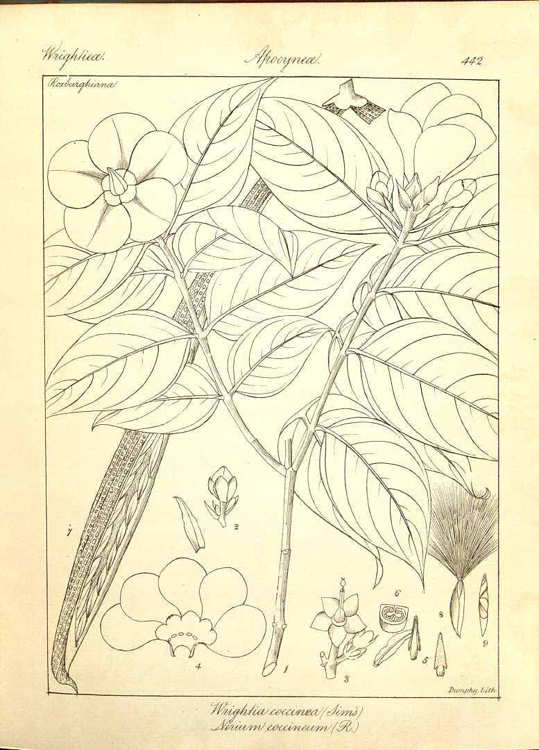 no HD illustration available (m5)