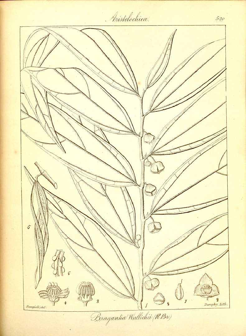 no HD illustration available (m5)