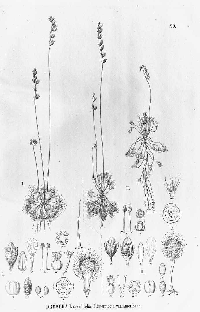 no HD illustration available (m5)