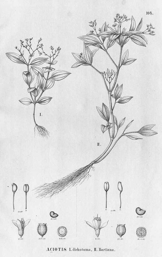 no HD illustration available (m5)