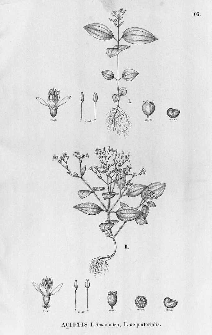 no HD illustration available (m5)