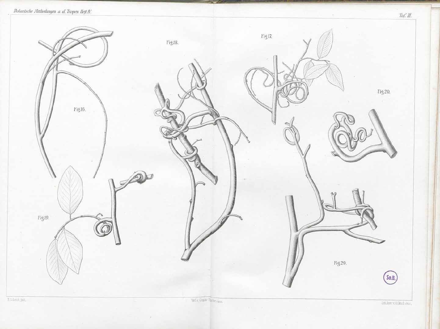 no HD illustration available (m5)