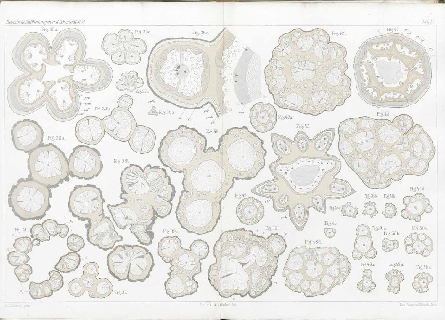 no HD illustration available (m5)