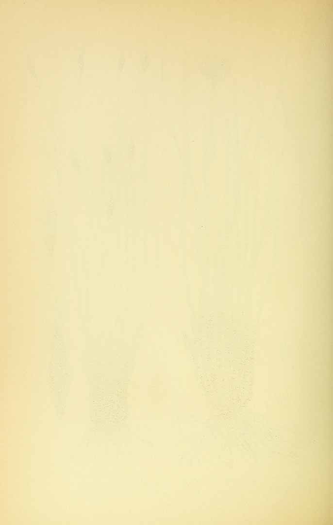 no HD illustration available (m5)
