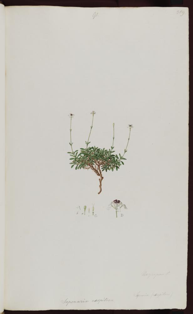 no HD illustration available (m5)