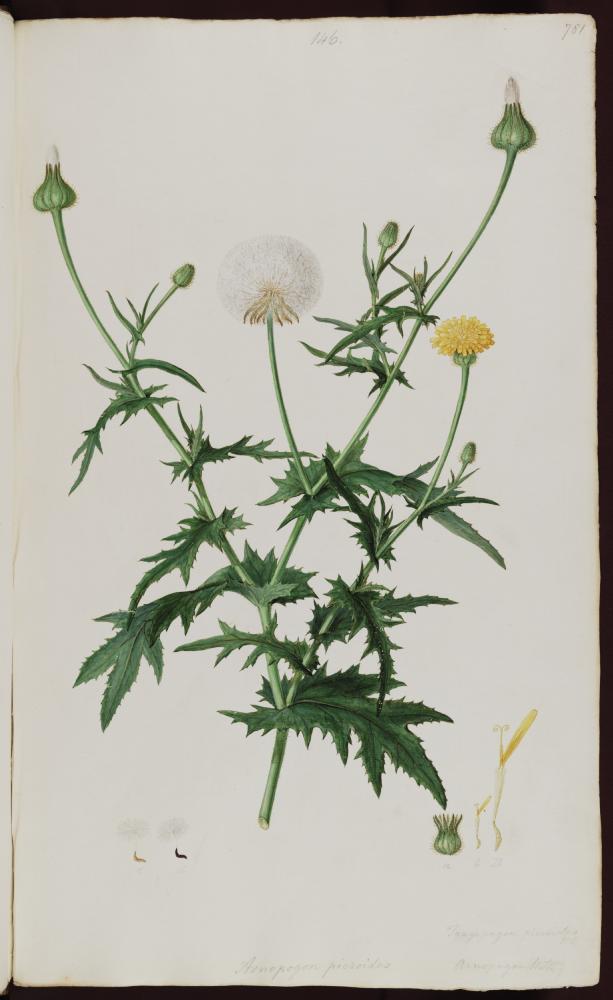 no HD illustration available (m5)