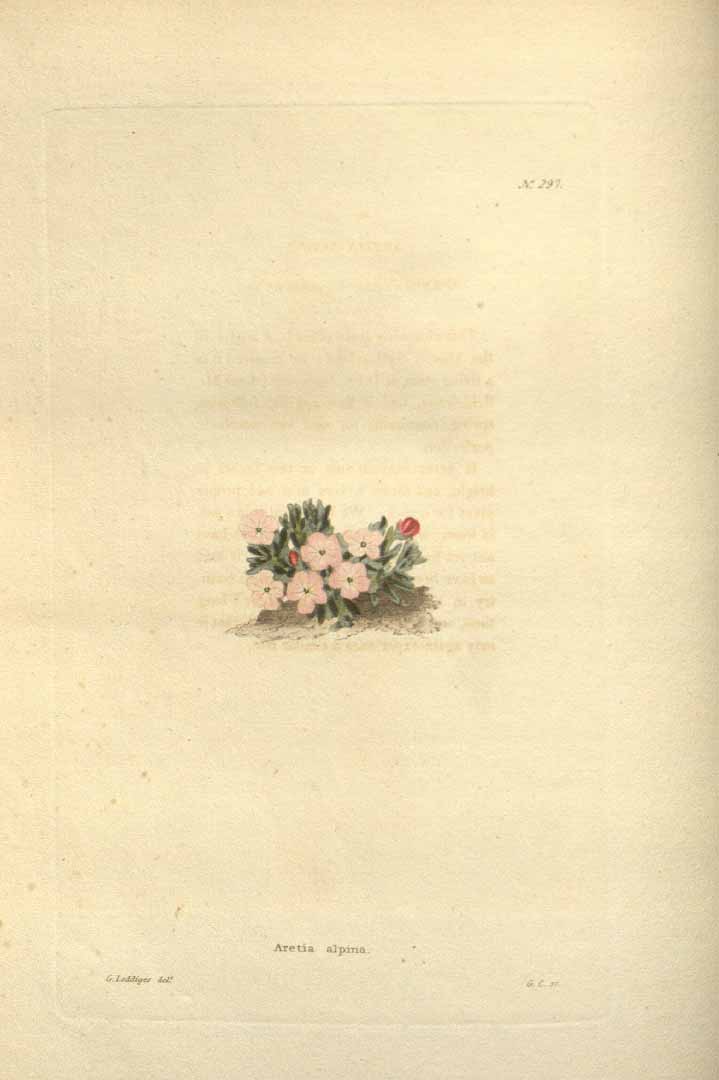 no HD illustration available (m5)