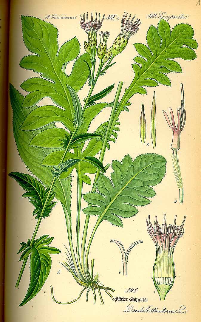 no HD illustration available (m5)