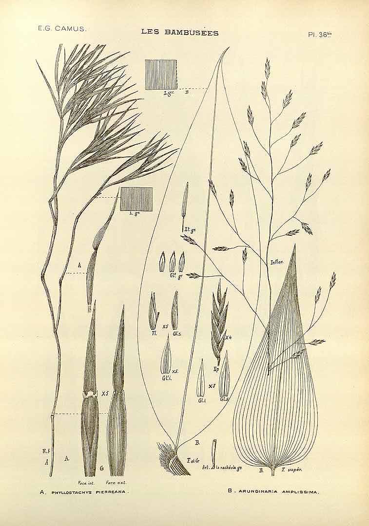 no HD illustration available (m5)