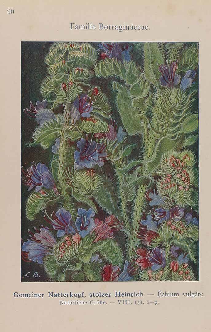 no HD illustration available (m5)