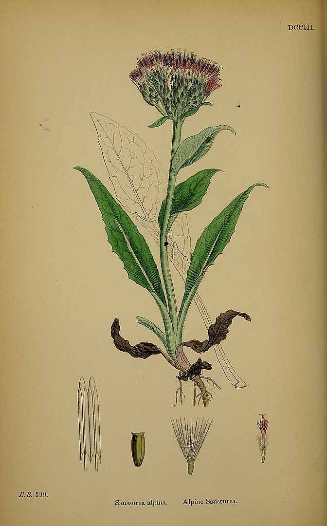 no HD illustration available (m5)