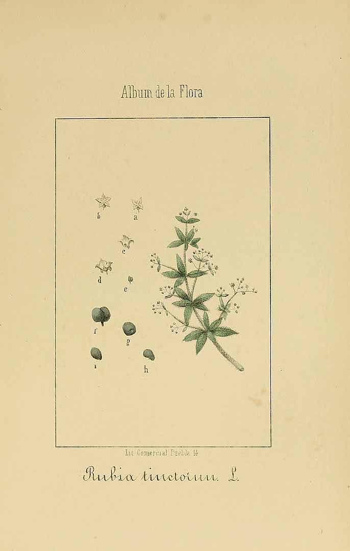 no HD illustration available (m5)