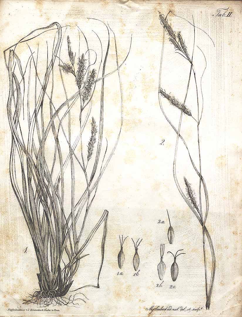 no HD illustration available (m5)