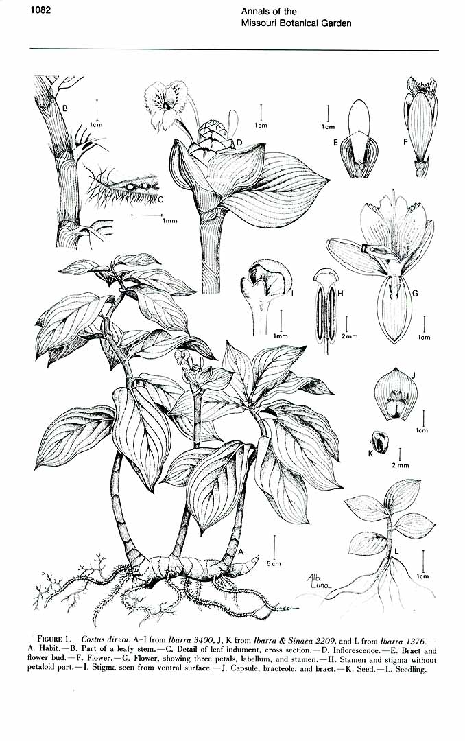no HD illustration available (m5)