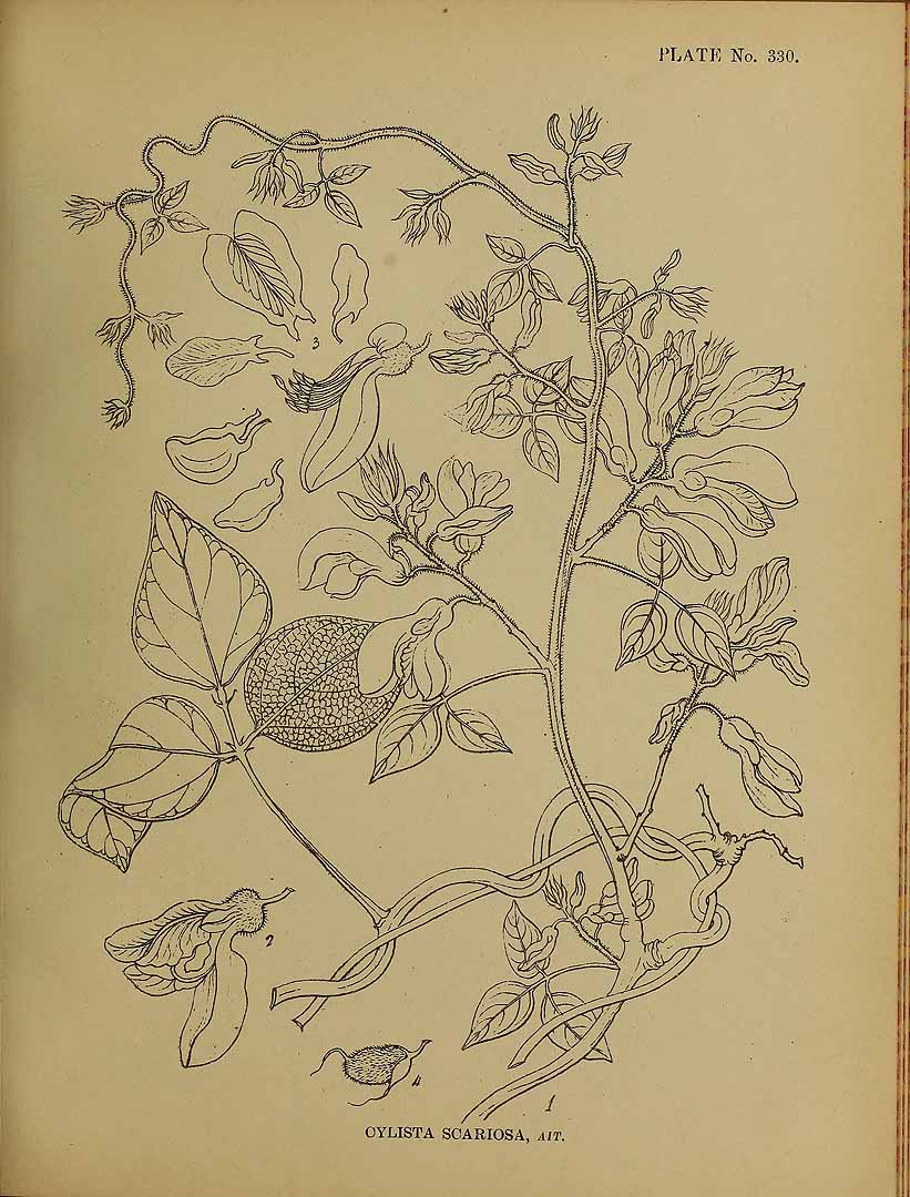 no HD illustration available (m5)