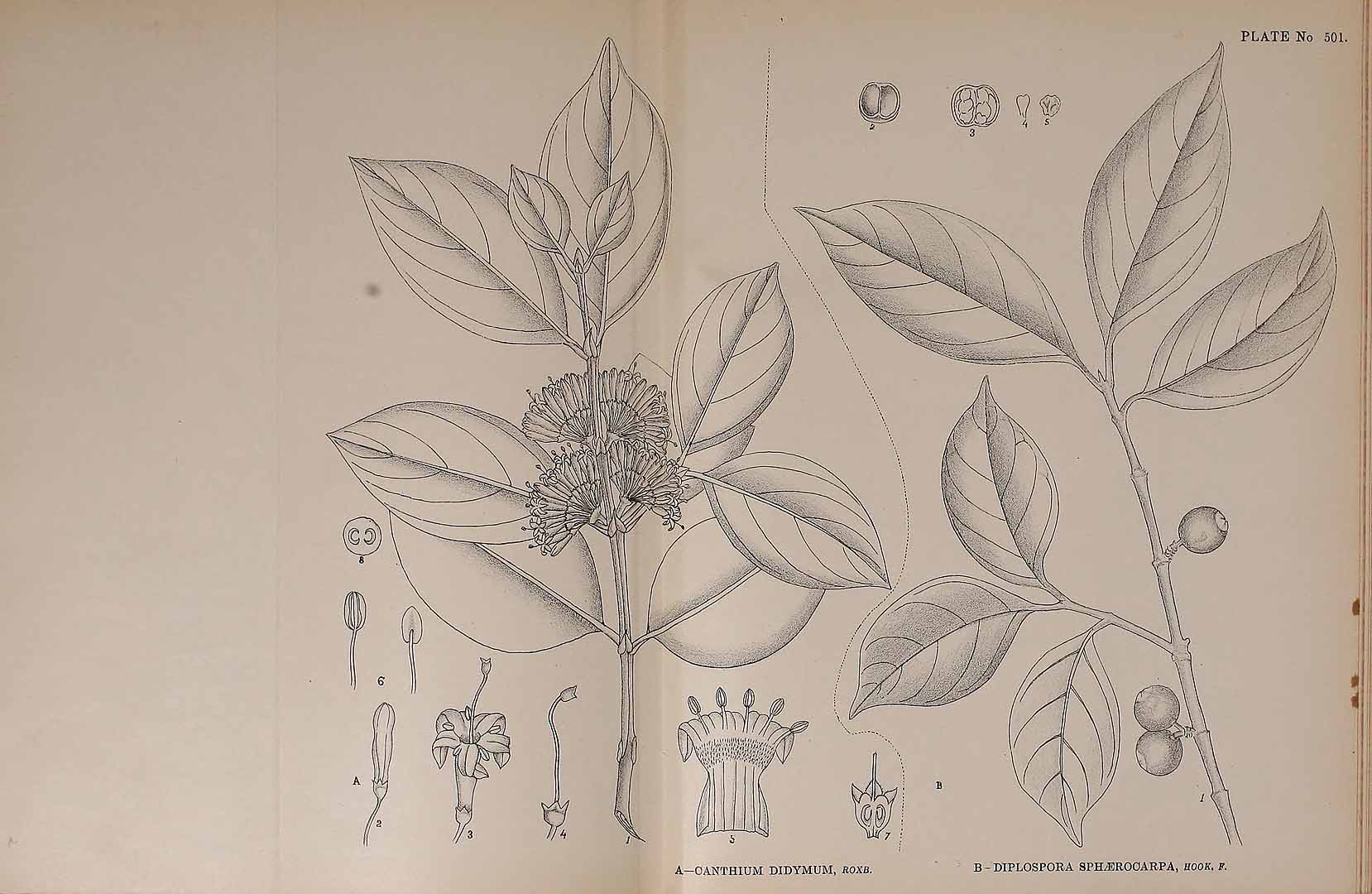 no HD illustration available (m2)