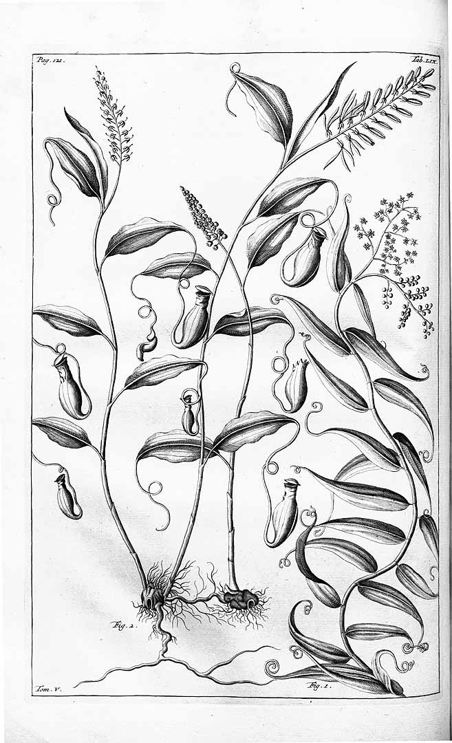 no HD illustration available (m1)