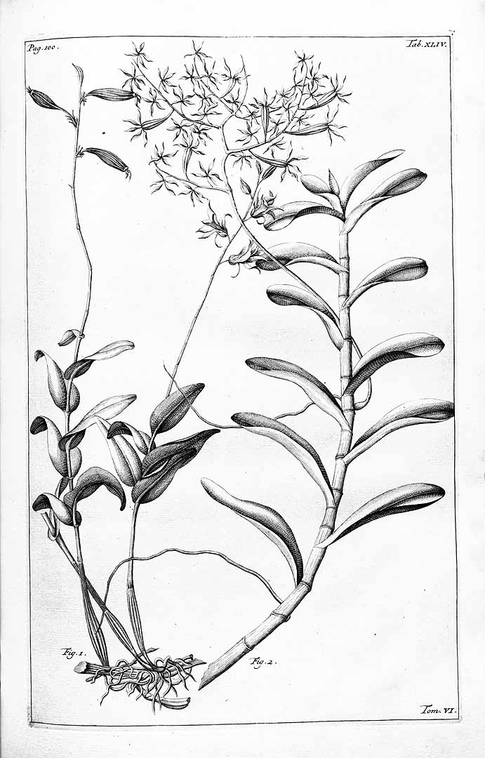 no HD illustration available (m5)