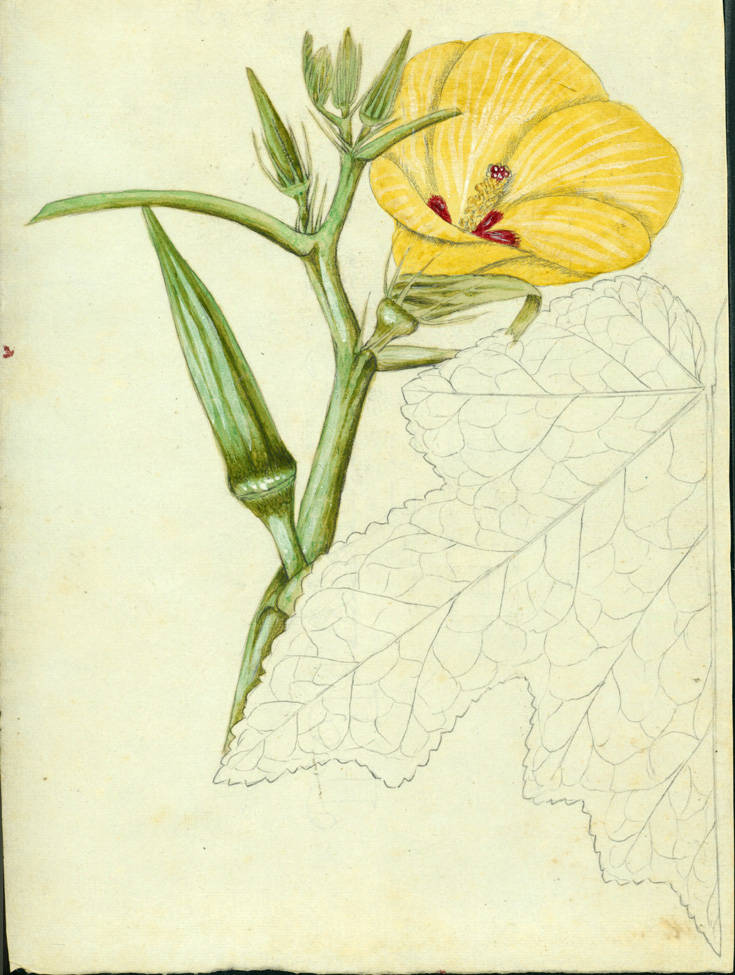 no HD illustration available (m5)