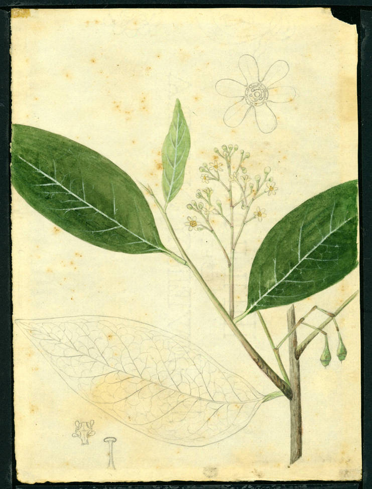 no HD illustration available (m5)